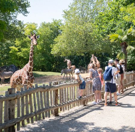 Avantages hôtels - Séjourner au ZooParc de Beauval