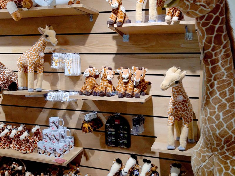 Acheter un souvenir des animaux de Beauval - Boutique du ZooParc de Beauval