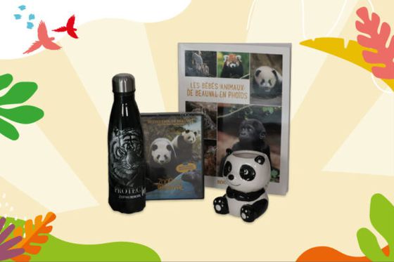 Participez à notre tombola et soutenez la protection des espèces !