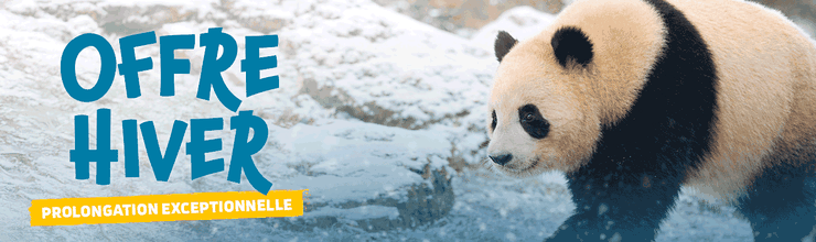 Promotion offre hiver - Billetterie - ZooParc de Beauval
