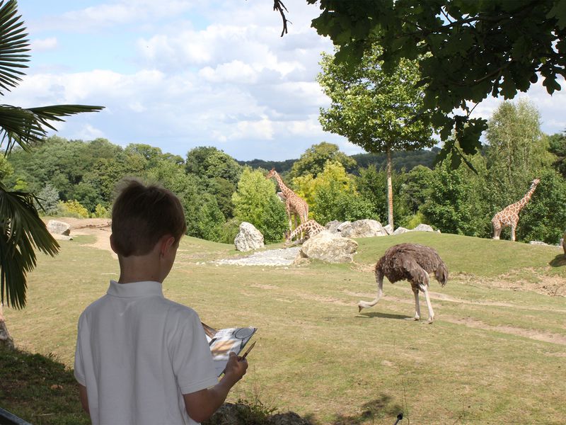 Carnets de jeux - Activité ludique pour les enfants - ZooParc de Beauval