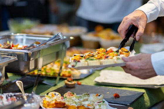 Les Nocturnes de Beauval reviennent pour les fêtes !