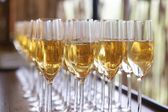 Noël et Nouvel An : des fêtes inoubliables aux Hôtels de Beauval