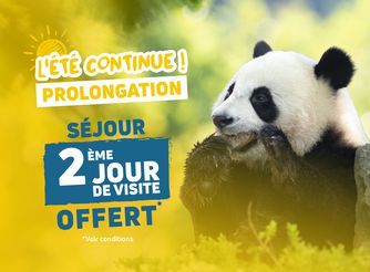 Offre été - Promotion séjours chambres et billets - ZooParc de Beauval