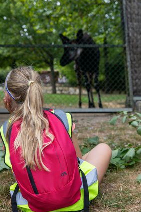 Découverte du ZooParc - Activités junior Premiers pas de Soigneurs - ZooParc de Beauval