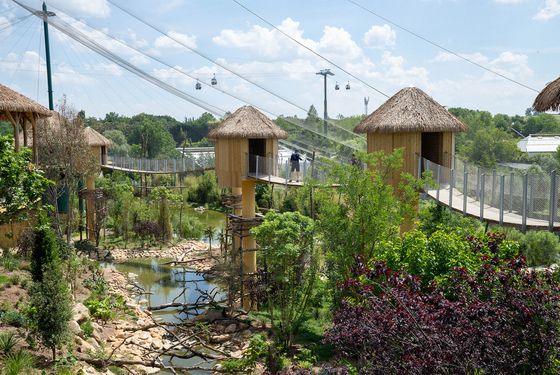 Great South American Aviary - ZooParc de Beauval