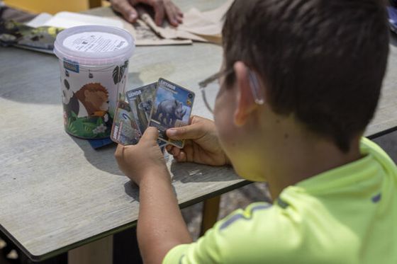 Les cartes collector arrivent dans les menus enfants !