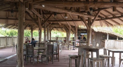 Le Tsavo - Restaurant - ZooParc de Beauval