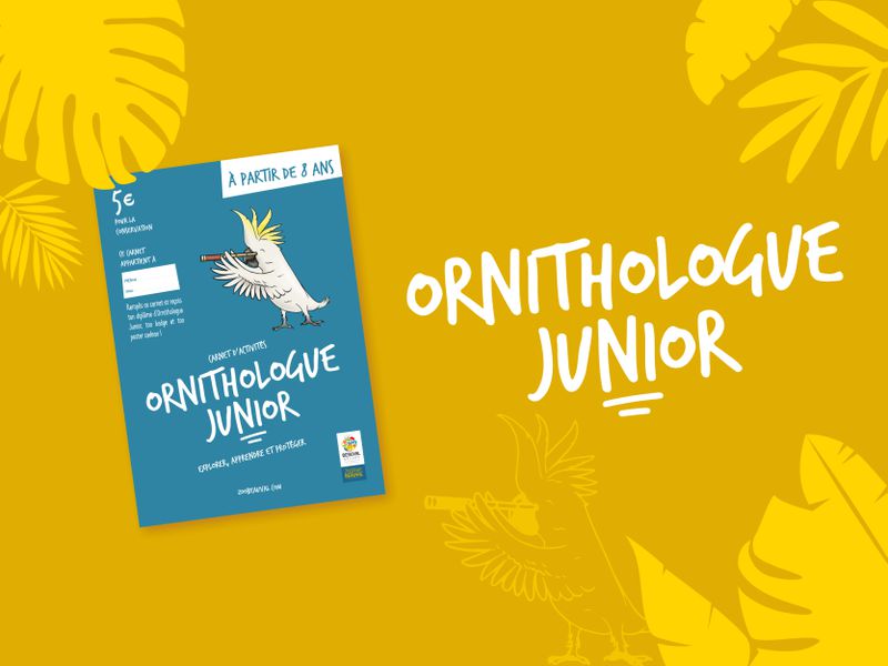 Ornithologue junior booklet