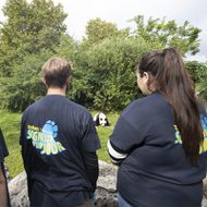 Keeper for a Day activity close to the giant pandas - ZooParc de Beauval