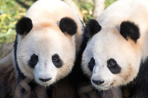 Billet du mercredi : une nouveauté à prix mini pour les petits !