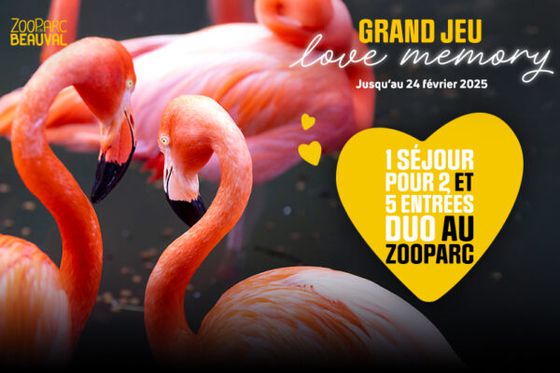 Jeu spécial Saint-Valentin : retrouvez les couples d’animaux fidèles en moins de 60 secondes !