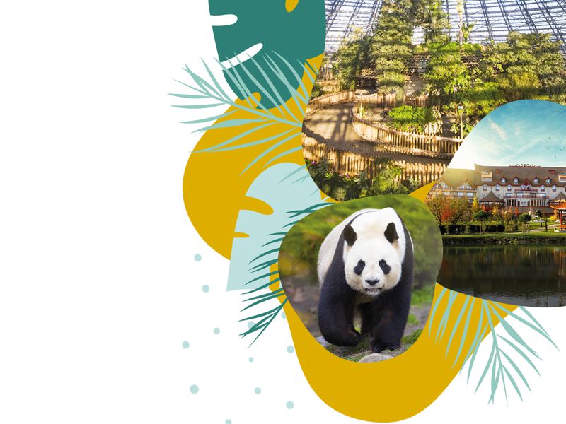 Jeu-concours, un séjour à gagner - 40 ans du ZooParc de Beauval Jeu-concours, un séjour à gagner - 40 ans du ZooParc de Beauval