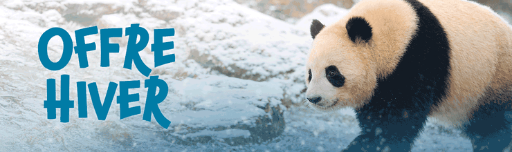 Promotion offre hiver - Billetterie - ZooParc de Beauval
