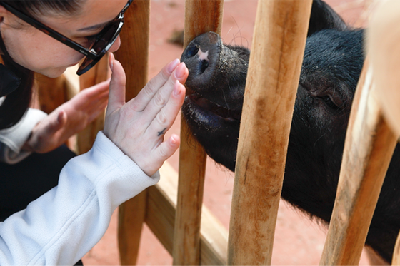 Bucolia et les Terres Rouges ont ouvert leurs portes
