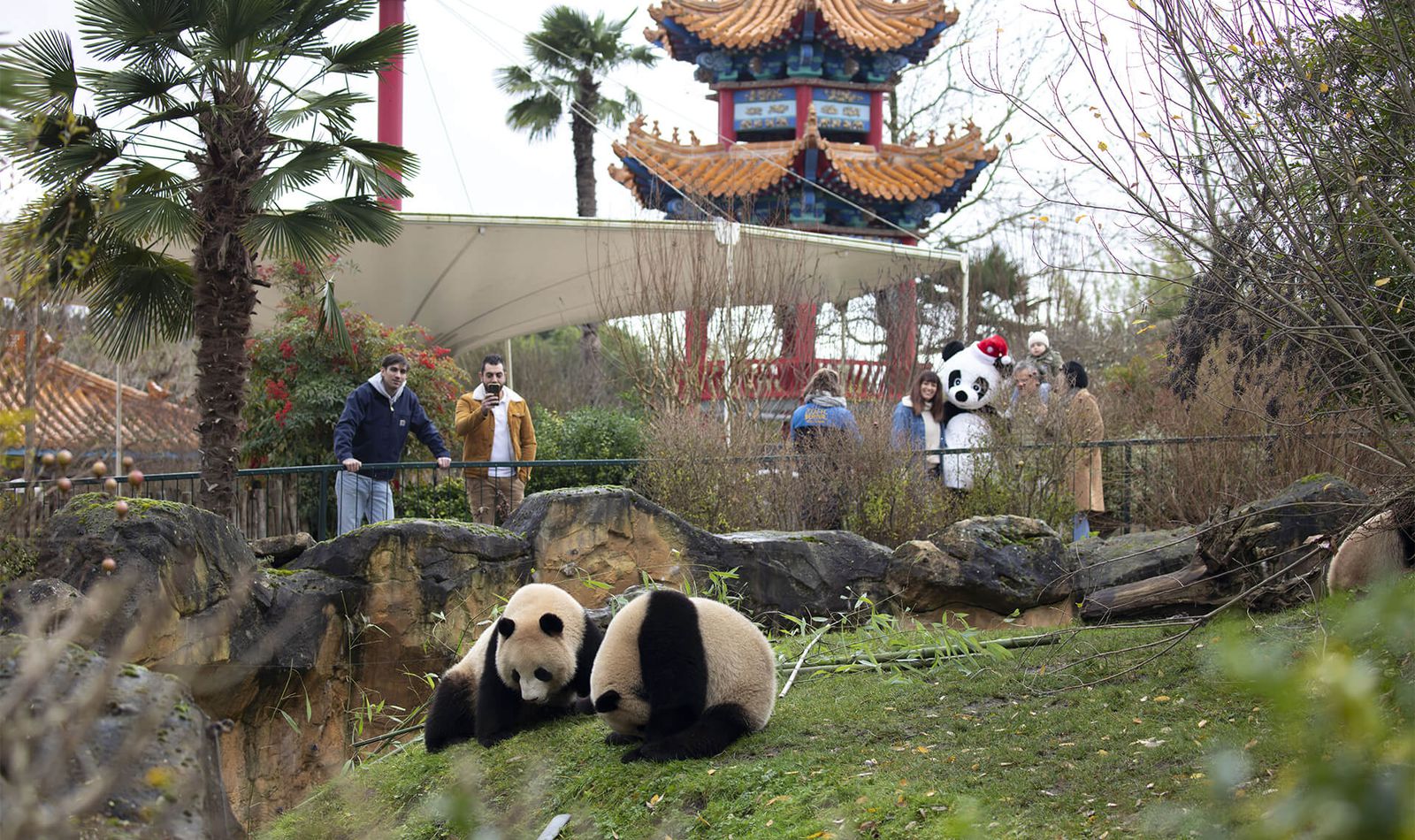 Offrir une Carte Cadeau - ZooParc de Beauval