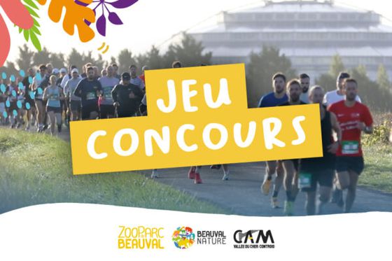 Jeu-concours : 20 dossards à gagner pour L’Envolée de Beauval 2026 !