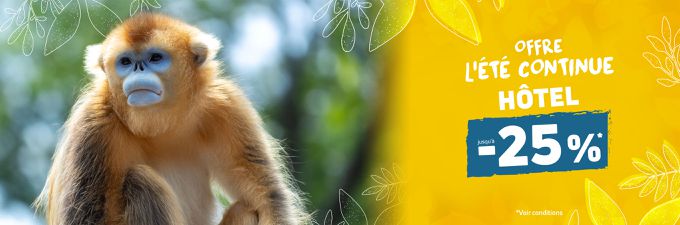 Remise sur les séjours - Offre spéciale été continue - ZooParc de Beauval