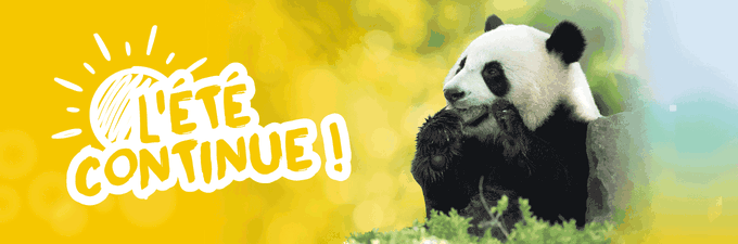 Remise sur les séjours et billets - Offre spéciale l'été continue - ZooParc de Beauval