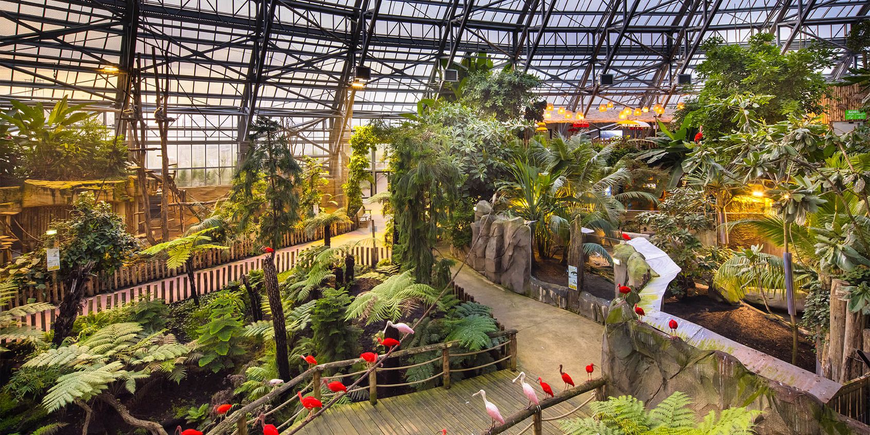 Inside the Equatorial Dome