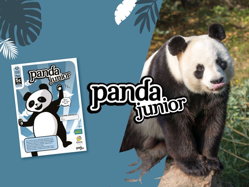 Carnet Panda Junior - Activités du ZooParc de Beauval Carnet Panda Junior - Activités du ZooParc de Beauval