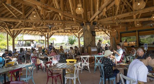 Le Serengeti - Restaurant - ZooParc de Beauval
