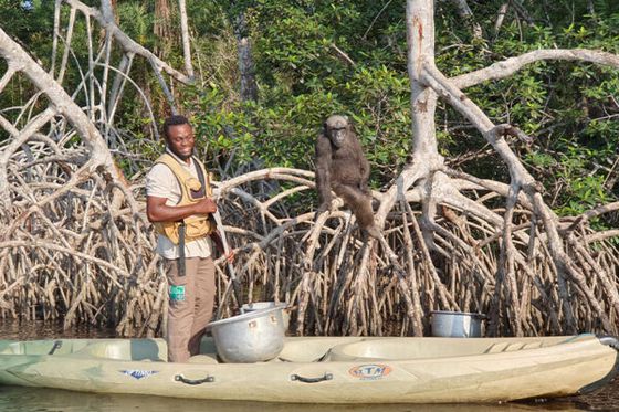 Lancement d’un séjour immersif au cœur de la conservation avec HELP Congo