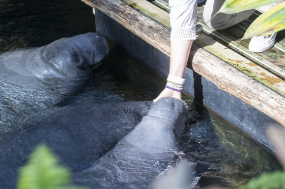 Jeu-concours Instagram : célébrez la biodiversité et remportez des cadeaux&nbsp;!