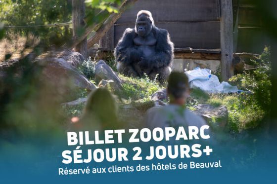 Découvrez le Billet ZooParc Séjour 2 jours+ et profitez toujours plus de Beauval !