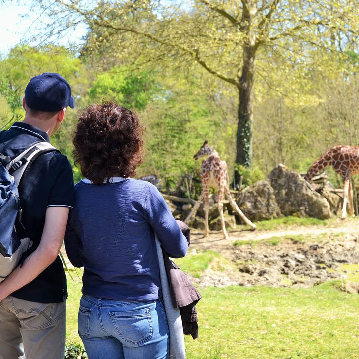 Come and visit the ZooParc de Beauval in summer