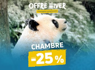 Offre hiver - Promotion séjours chambres - ZooParc de Beauval