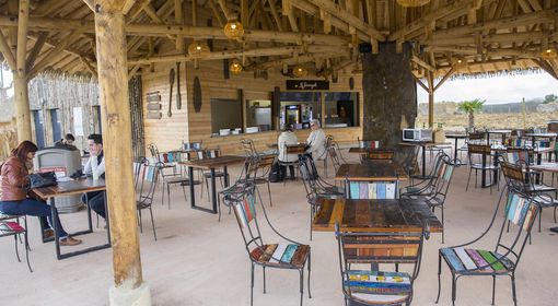 Le Serengeti - Restaurant - ZooParc de Beauval