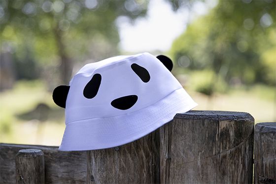 Beauval sur la Caravane du Tour de France : suivez notre carnet de bord !