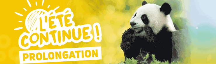 Promotion offre été - Billetterie et séjours - ZooParc de Beauval