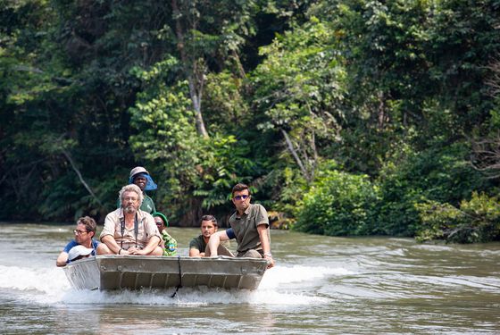 Programme Beauval Nature au Gabon - Association Beauval Nature - ZooParc de Beauval