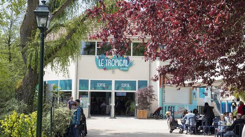 Le Tropical - Restaurant - ZooParc de Beauval