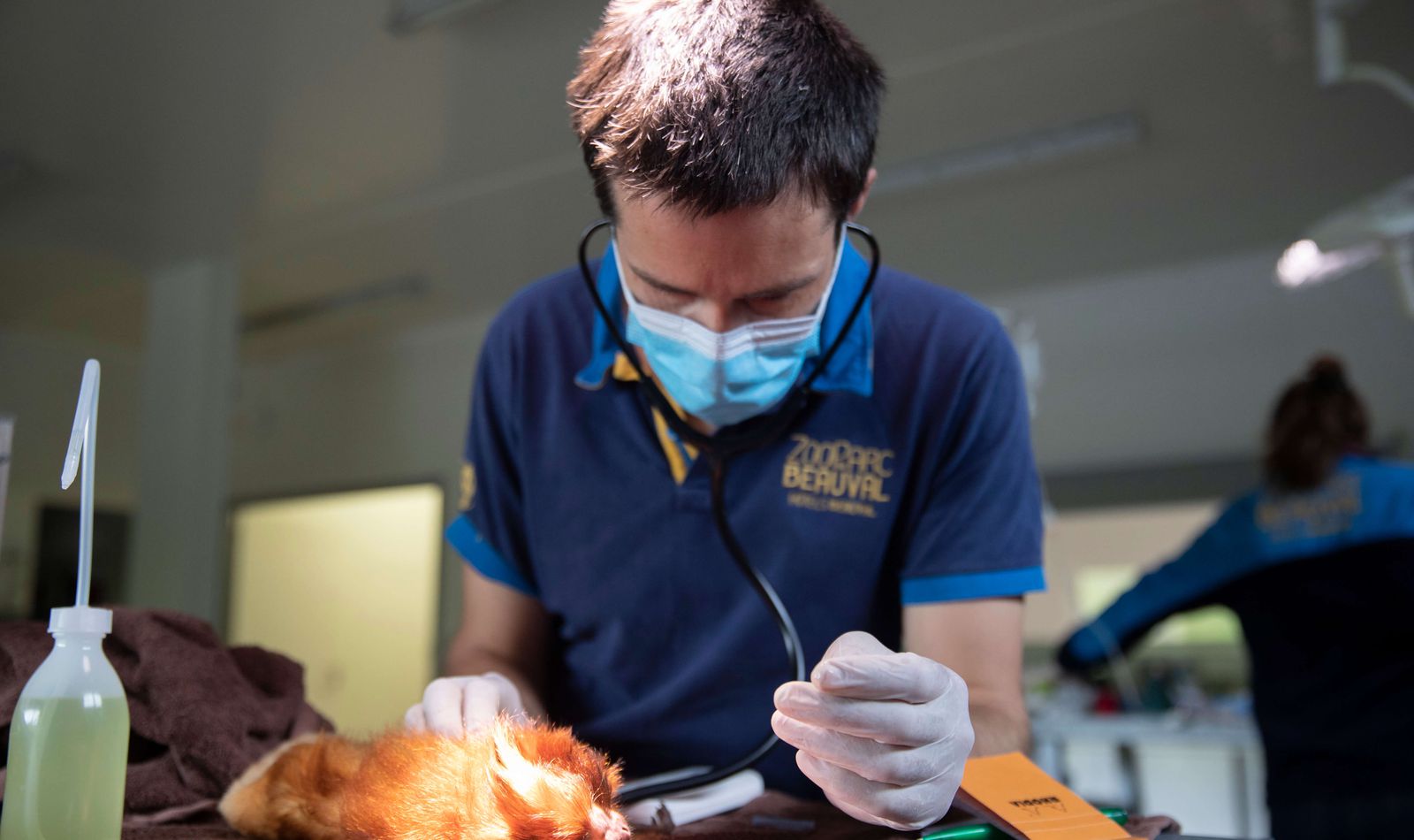 The Veterinary Clinic Zooparc De Beauval