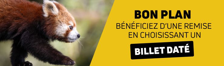Exclusivité web - Réduction billets datés - ZooParc de Beauval