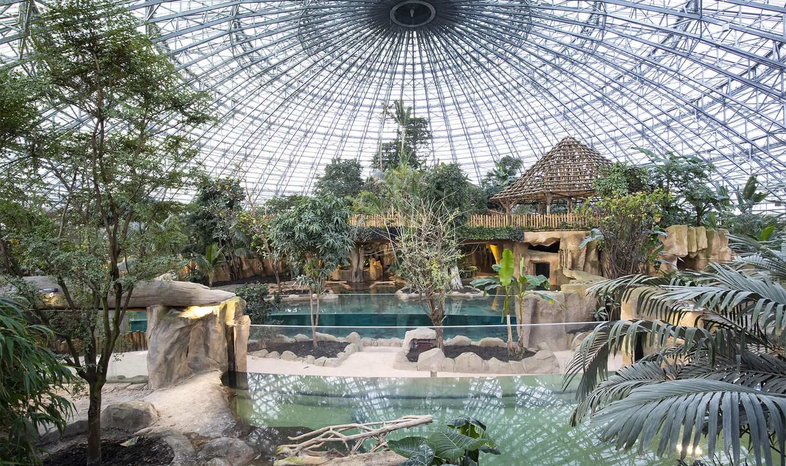 Vue de l'intérieur du Dôme Équatorial - ZooParc de Beauval