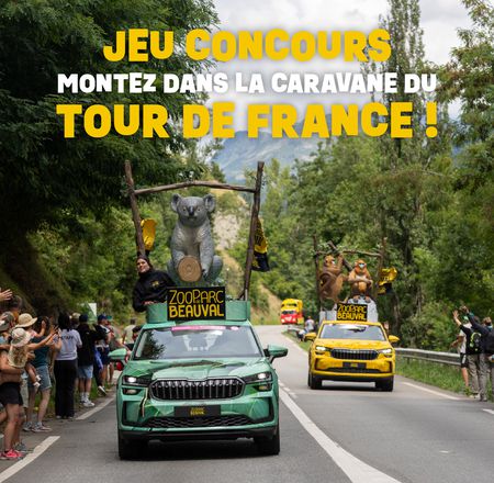 Jeu parrainage - Étape du Tour de France - ZooParc de Beauval