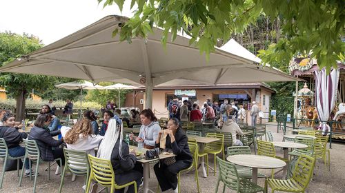 L'Eucalyptus - Restaurant - ZooParc de Beauval