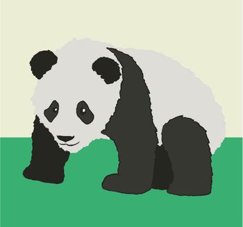 Croissance bébé panda géant - 1 an - ZooParc de Beauval
