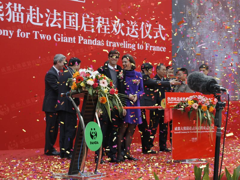 Departure of the pandas from China - Saga pandas du ZooParc de Beauval
