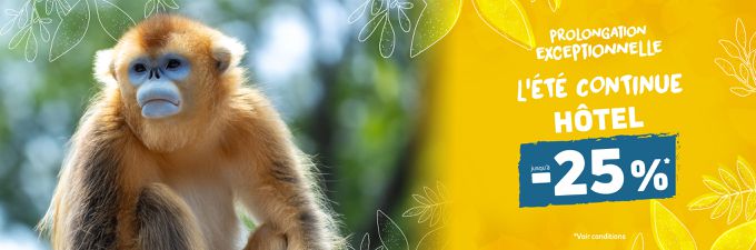 Remise sur les séjours - Offre spéciale été continue - ZooParc de Beauval