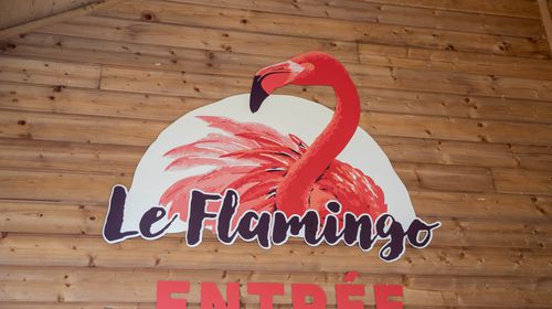 Se restaurer - Le Flamingo - ZooParc de Beauval
