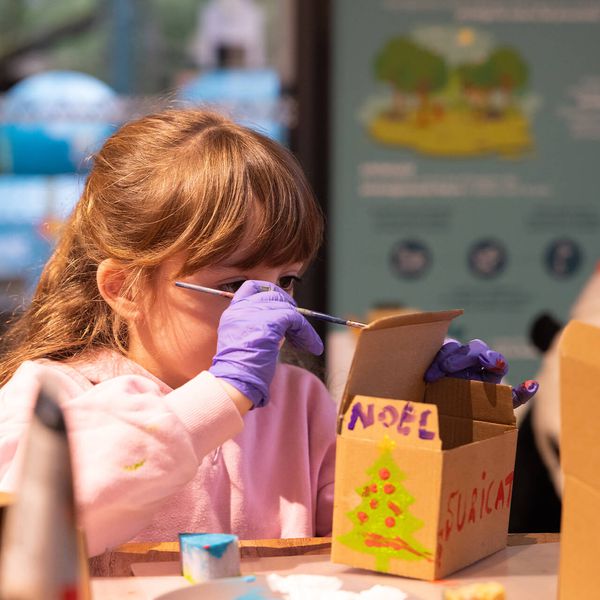 Atelier enrichissements de Noël - ZooParc de Beauval - Association Beauval Nature