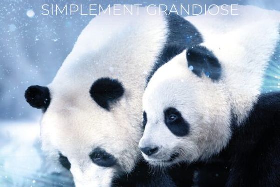 Noël en Val de Loire : une campagne simplement grandiose !