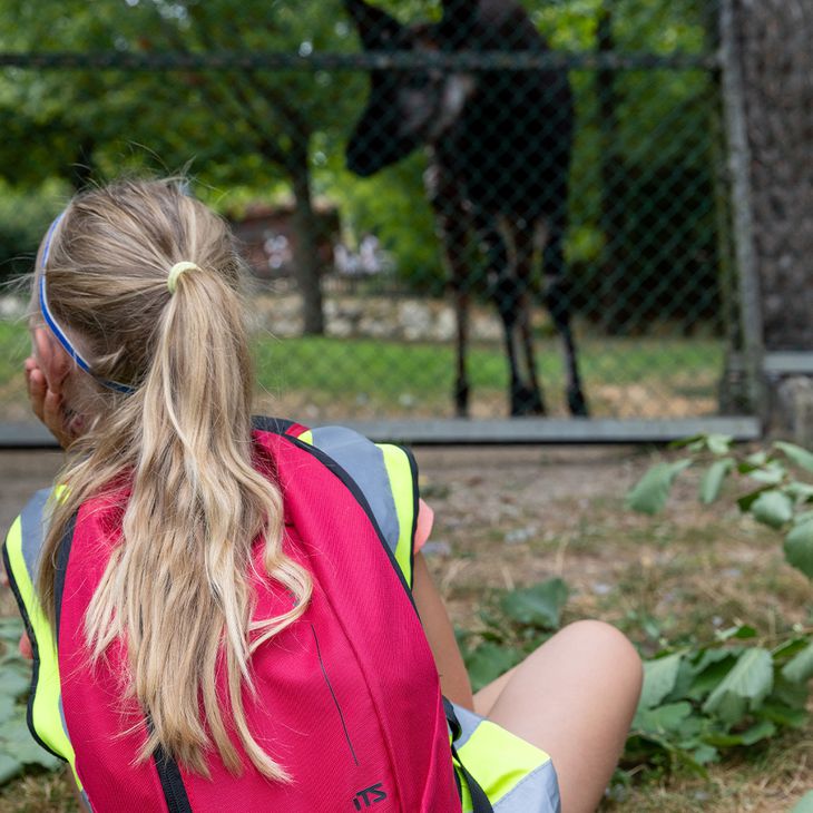 Découverte du ZooParc - Activités junior Premiers pas de Soigneurs - ZooParc de Beauval