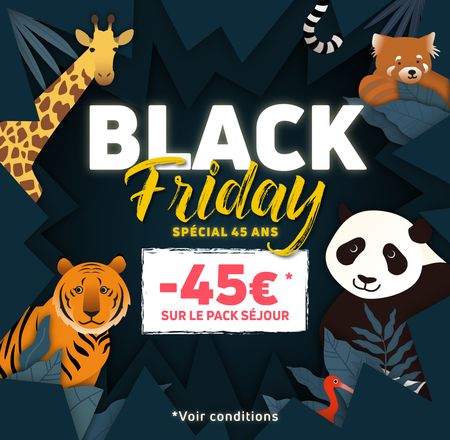 Black Friday 2025 - Achats de séjours à prix réduits - Promotion - ZooParc de Beauval