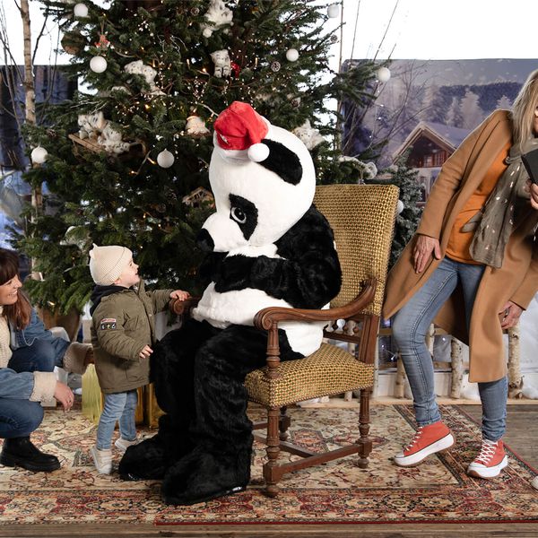 Noël à Beauval - Photo souvenir avec la mascotte panda - ZooParc de Beauval